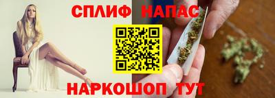 крисы Брянск
