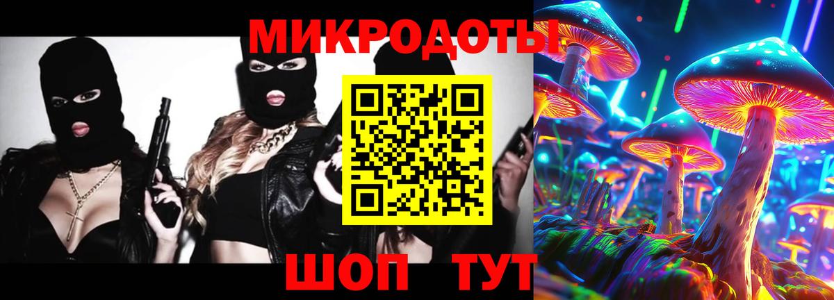 Кириши  где продают наркотики  Вход с VPN  Псилоцибиновые грибы мухоморы 